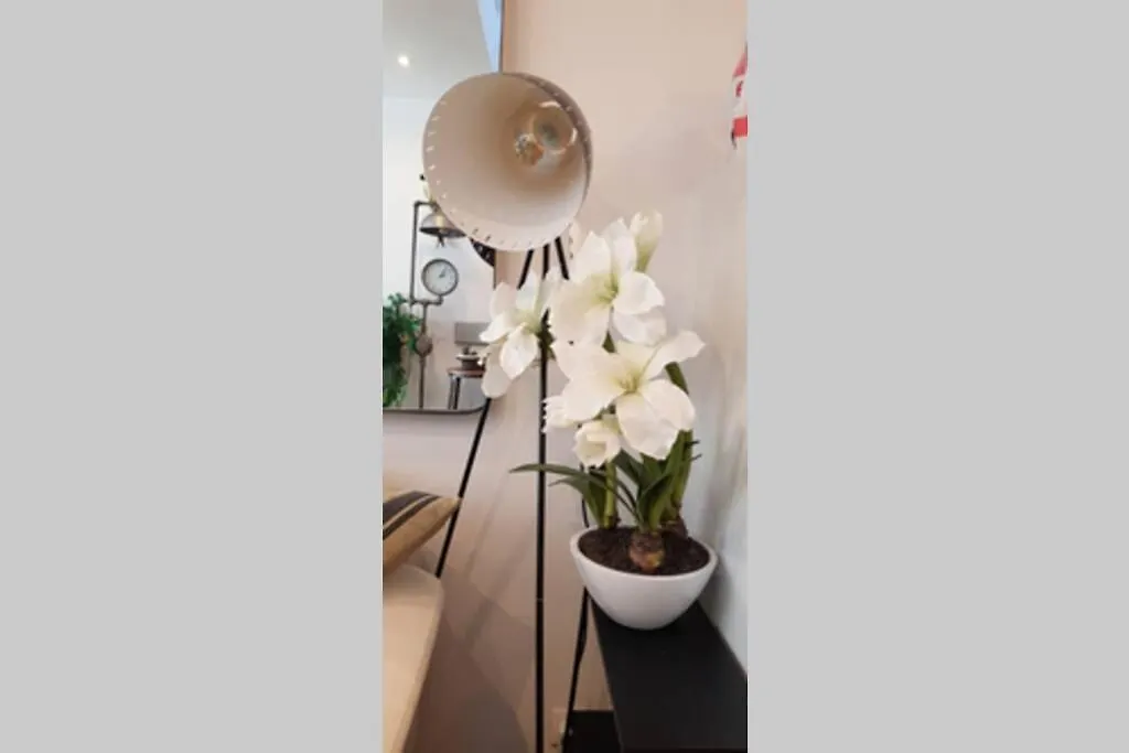 Bandol Magnifique Appartement En Rdc Cour Sans Vis A Vis 5Mn Plage 0*,