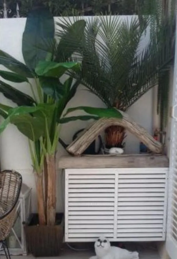 Bandol Magnifique Appartement En Rdc Cour Sans Vis A Vis 5Mn Plage